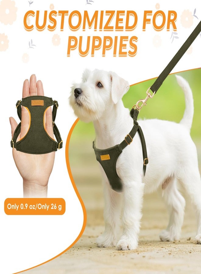 Lukovee No Pull Small Dog Harness with Leash - Lightweight Soft Puppy Vest Harnesses, Adjustable Pet Harnesses for Puppy Small Dogs (Green, XXS) - Image 2